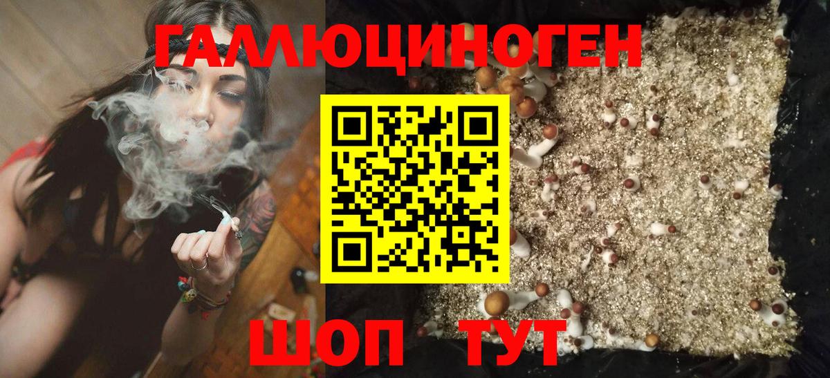 Псилоцибиновые грибы мицелий Минусинск