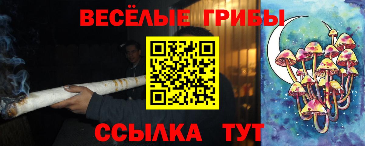 Минусинск  Галлюциногенные грибы Psilocybe  Вход с VPN  Псилоцибиновые грибы прущие грибы 